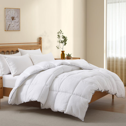 Alwyn Home Christin All Season Polyester Down Alternative Comforter